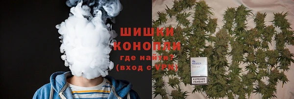 трава Аркадак