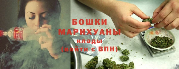 трава Аркадак