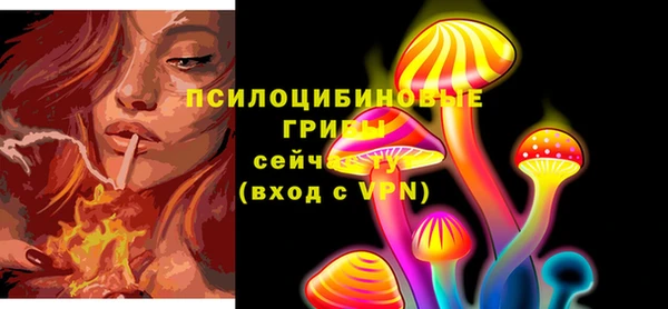 трава Аркадак