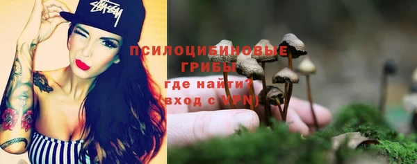 Альфа ПВП Арсеньев