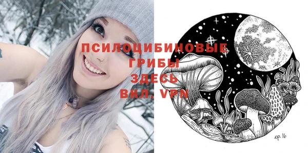 Альфа ПВП Арсеньев
