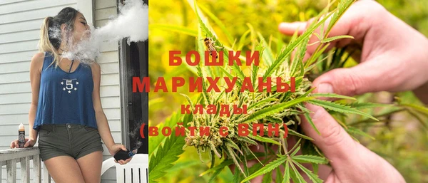 трава Аркадак