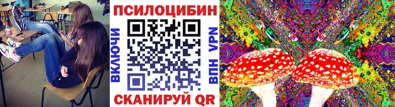 Галлюциногенные грибы мухоморы  Сортавала 